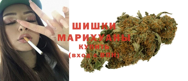 прущие грибы Снежногорск