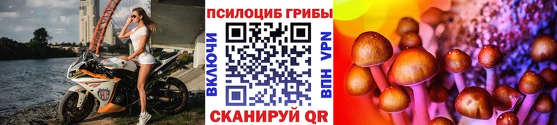 кракен маркетплейс  магазин  наркотиков  Добрянка  Галлюциногенные грибы мицелий 